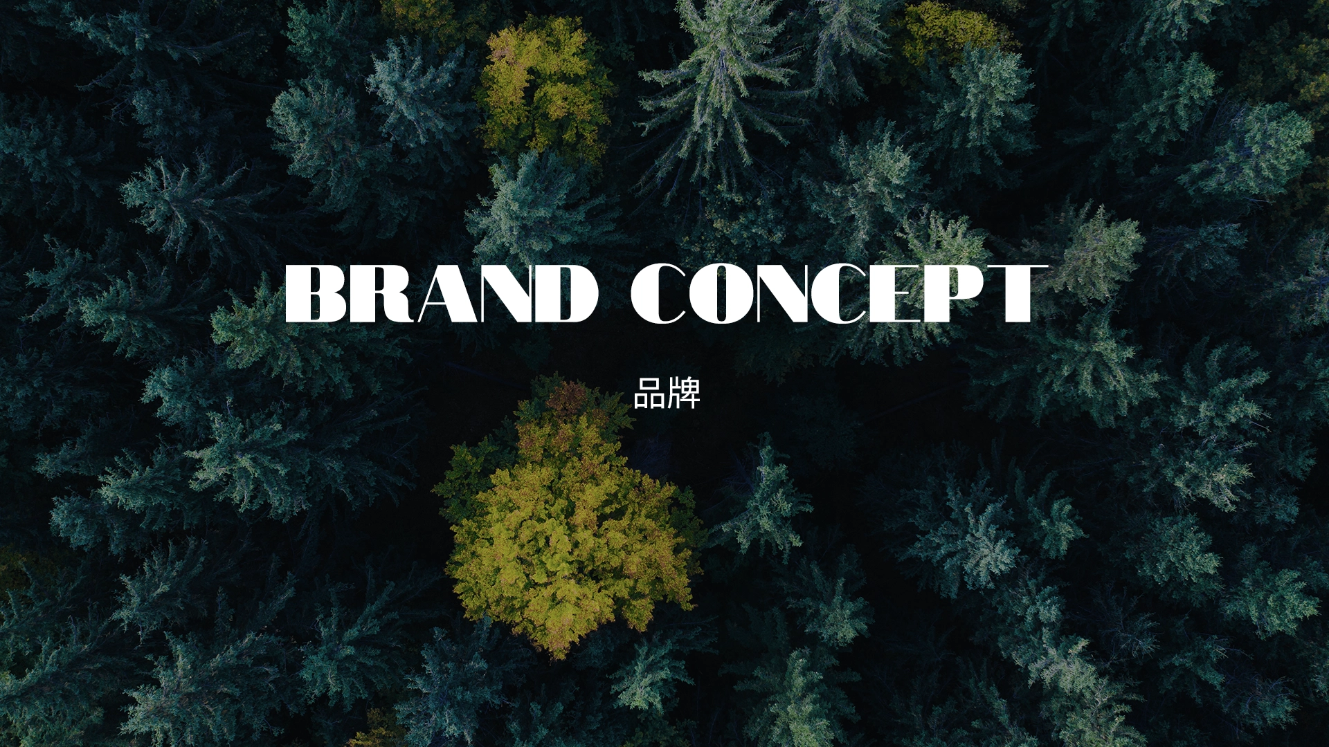 预见未来：创品千乘如何凭借前瞻性的设计理念，为客户提供不可复制的竞争优势