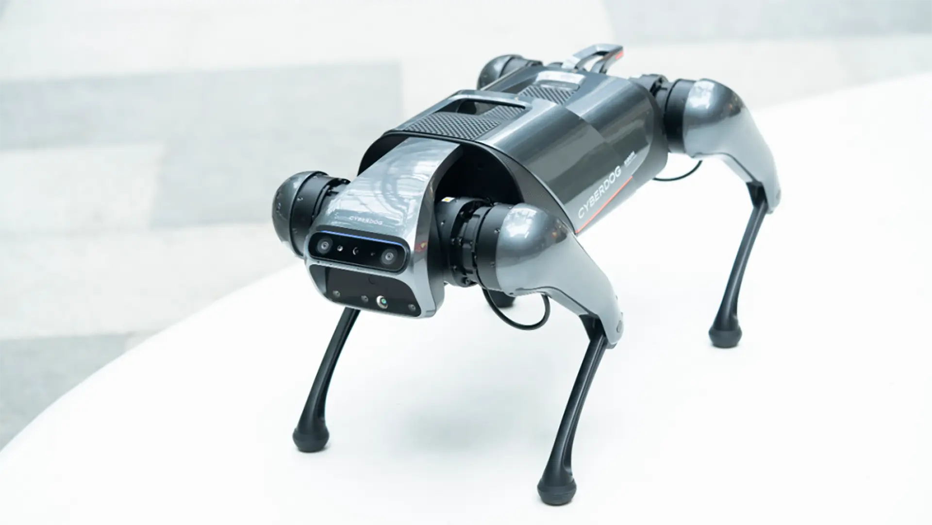 走进未来之家，乐享科技智能机器人带来全新互动体验